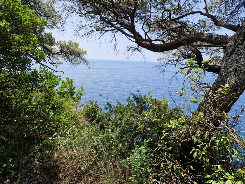 Sipan island boat trip from Dubrovnik largest Elafiti